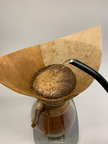 chemex initial pour for bloom