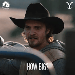 how big cowboy gif