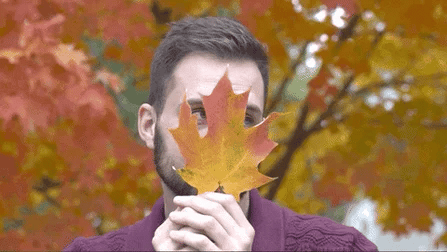 slowly holding leaf up to face gif