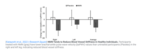 arterial stiffness improved with NMN
