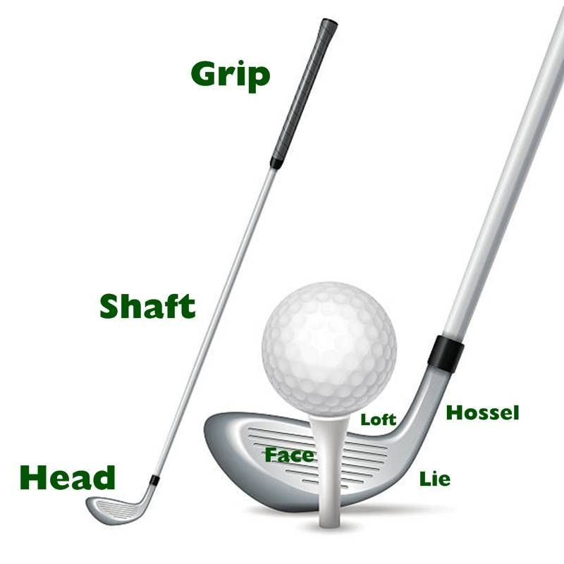 Essential components of a golf club – The Local Golfer