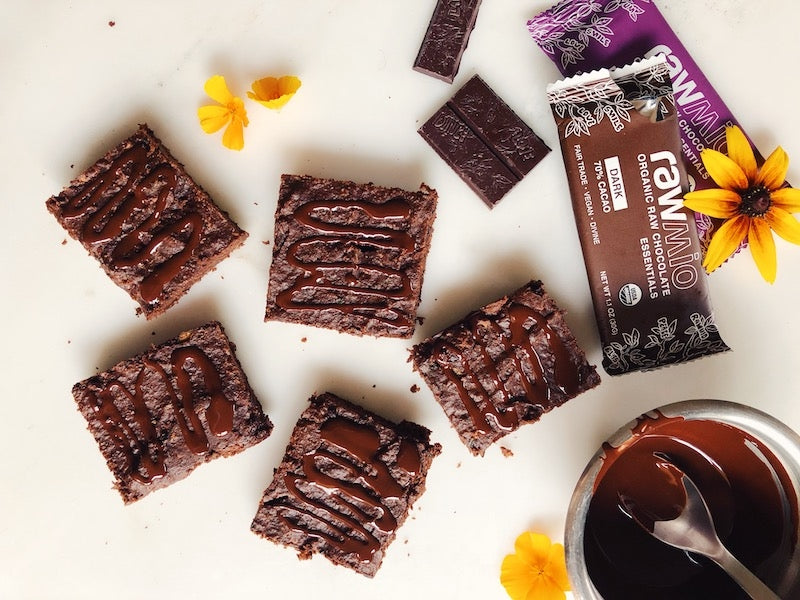 Rawmio Vegan Paleo Zucchini Brownies