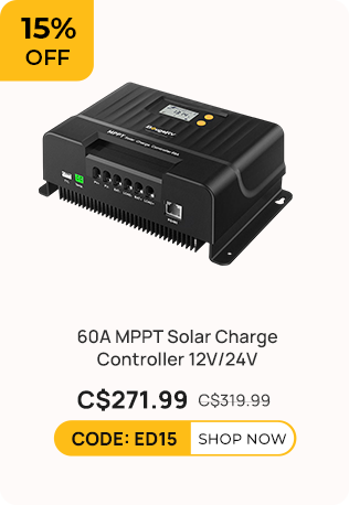 60A MPPT Solar Charge Controller with Bluetooth 12V/24V