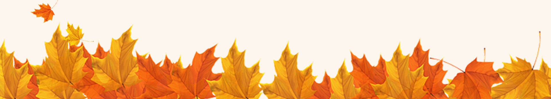 1_14.jpg__PID:d07fff13-e1cd-4a45-bfa2-fe2e5f698796