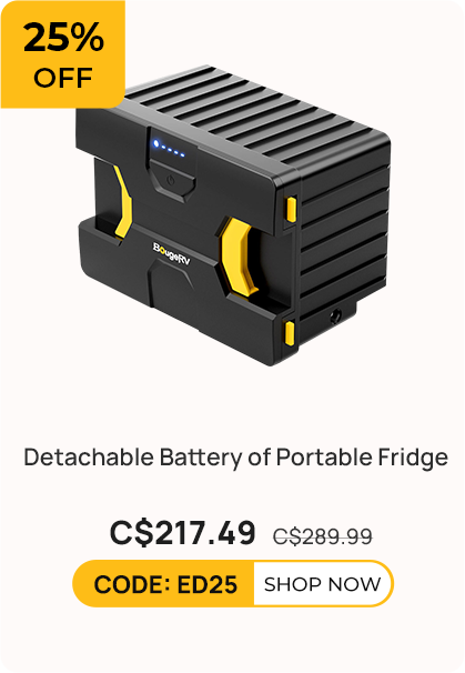 Detachable Battery of Portable Fridge (Adapter not included)