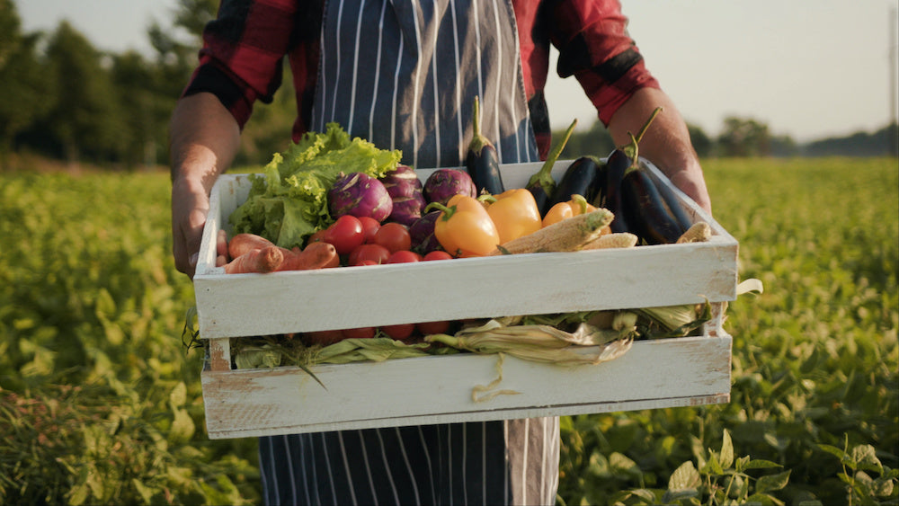 Farmer hält Kiste voll Bio-Gemüse