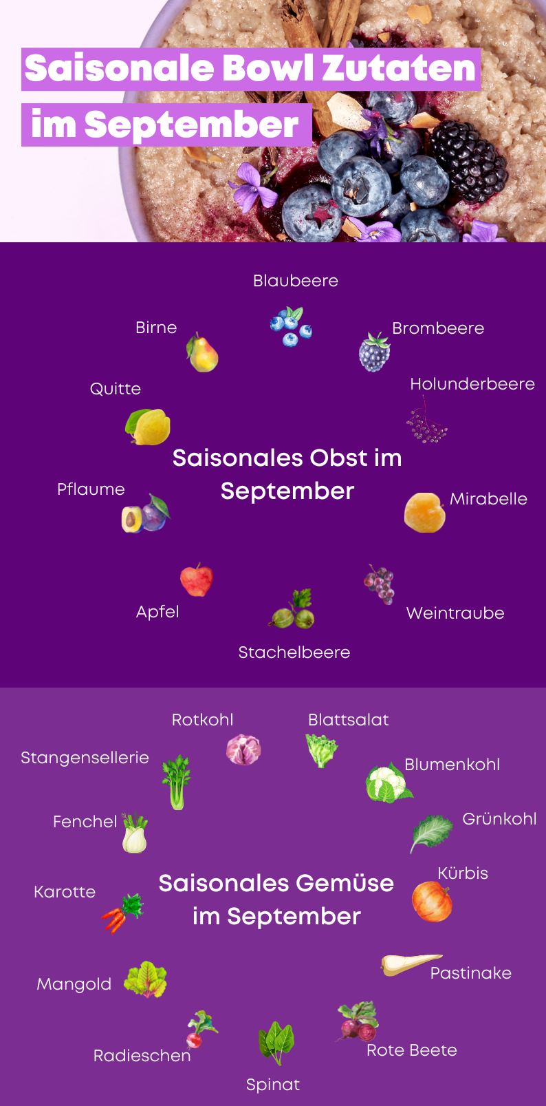 Infografik Obst und Gemüse mit lila Hintergrund