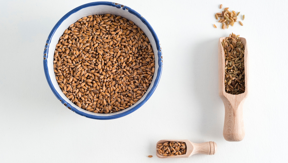 types of ancient grains in a bowl></p>
<p>Ancient grain is the umbrella term for various types of cereals that were already cultivated by our ancestors thousands of years ago. Like wheat, which is widely grown today, they belong to the plant family of sweet-grasses. However, there is no strict definition from which age on a type of grain may be called ancient grain or whether pseudocereals should be included in the list of ancient cereals or not.</p>
<h3>What is the difference between ancient grains and other cereals?</h3>
<p>Amelcorn, one-grained wheat, spelt and so on have a particularly strong husk cover. This husk protects the grain from environmental influences and makes it resistant. Ancient grains can even thrive on nutrient-poor soils and require hardly any fertilizers or chemical pesticides. This makes them the perfect fit for organic cultivation.</p>
<p>However, the husk causes an additional step in processing. This husk must be removed before the grain is further processed into flour or flakes.</p>
<h3>Does pseudocereal count as ancient grain?</h3>
<p><img  data-cke-saved-src=