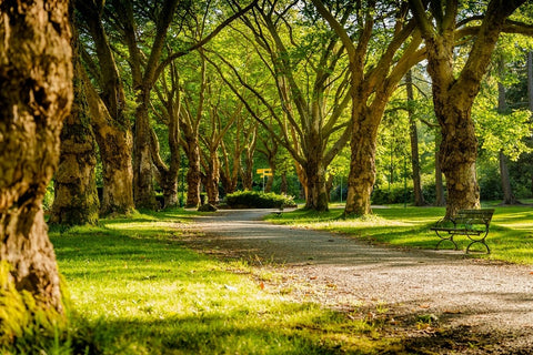 10 Idées de Week-end en Amoureux en Pays de la Loire