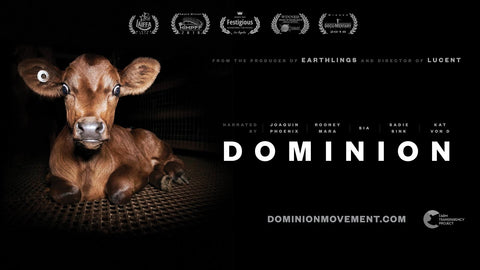 documentaire elevage, elevage intensif, go vegan, mode de vie vegane, animals rights