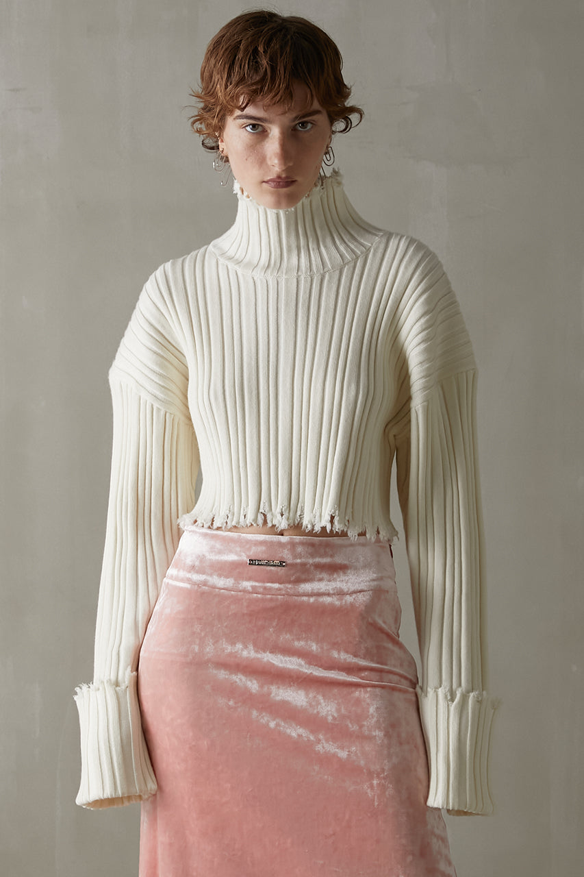 Ribbed Turtleneck