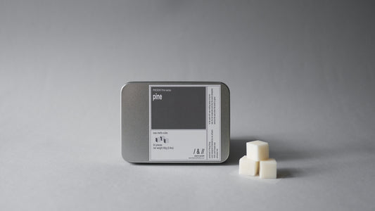 forest / wax melts 80g // this series – s/ash & para//el