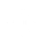 FlyVibes logo