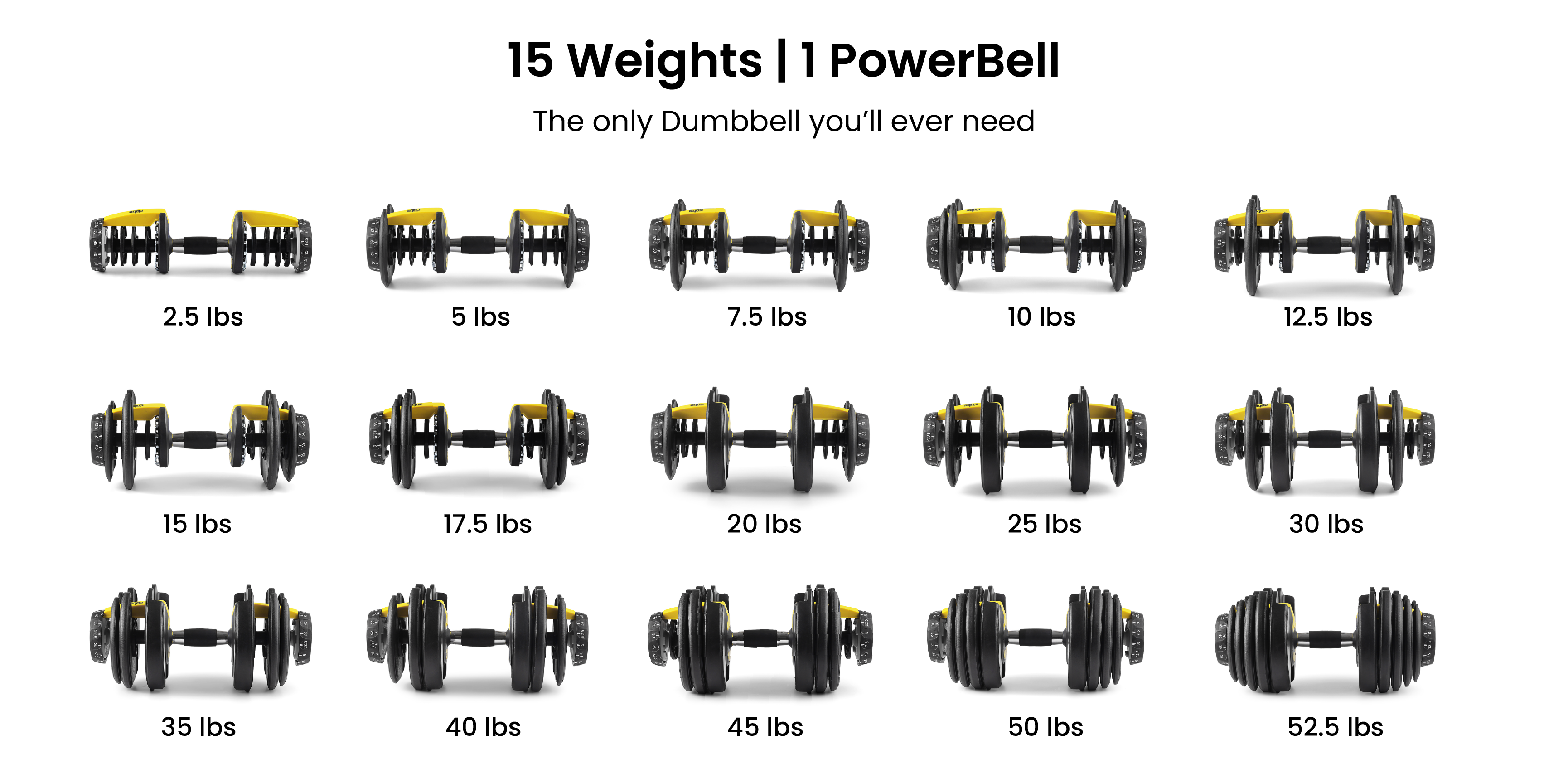15 Weight Dumbbell | 1 PowerBell