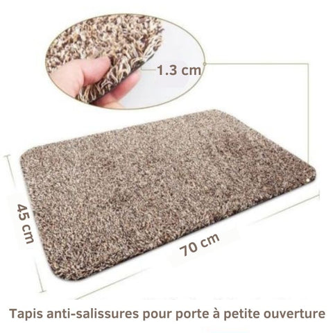 Tapis d'entrée paillasson très absorbant en microfibres