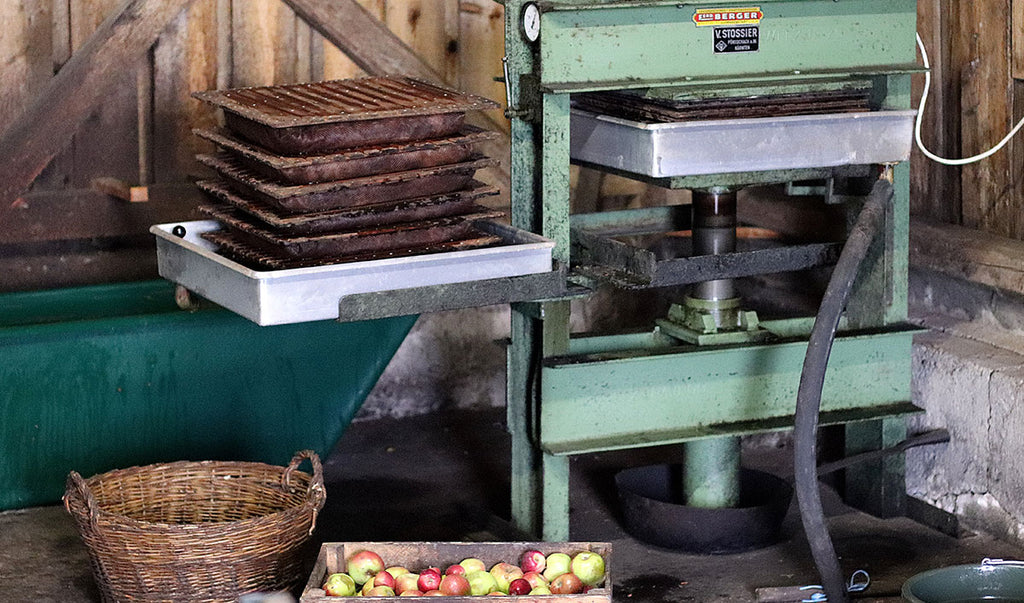 Apple fruit cider press