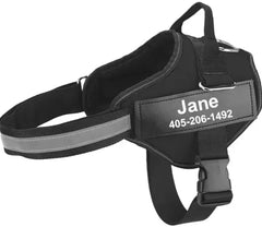 personalized cat accessory harness