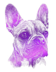 Custom pet portrait dog cat artwork drawing print personalized french bulldog