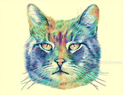cute cat custom pet portrait drawing handmade art artwork artist