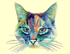 cat cute custom pet portrait handmade drawing personalized art print