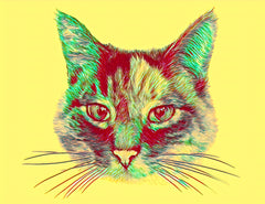 cat custom pet portrait art drawing cute 