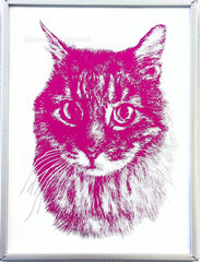 custom pet portrait handmade hand drawn cute memorial gift cat dog maine coon mix
