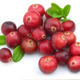 Organic Cranberry Powder for Dogs