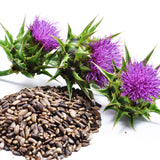 Organic Milk Thistle Seed for Pets