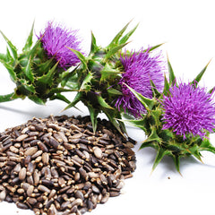 Organic Milk Thistle Seed for Dog and Cat