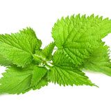 Nettle Leaf in Dog Organic Vitamin Supplement