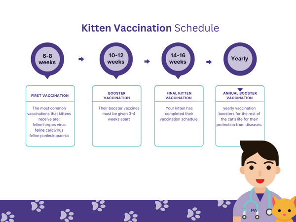 Kitten Vaccination Schedule