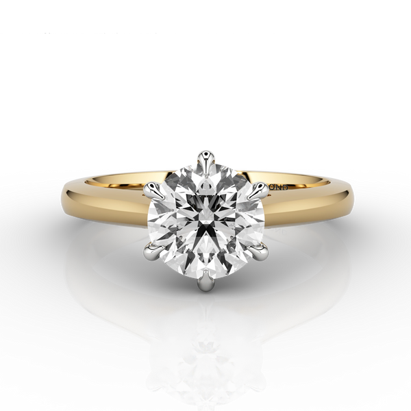 Cathedral 1ct Solitaire Engagement Ring in 18ct Yellow Gold and Platinum