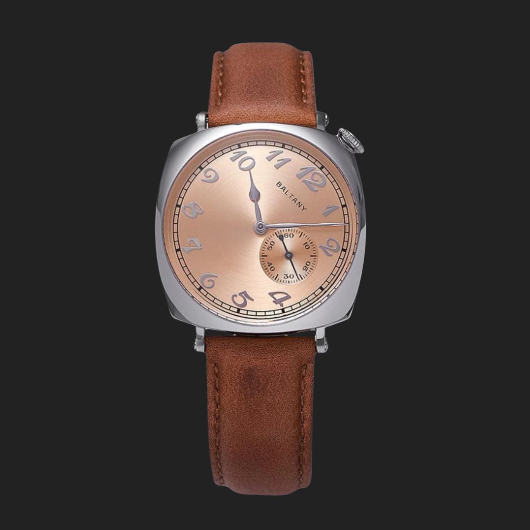 Baltany Watches india