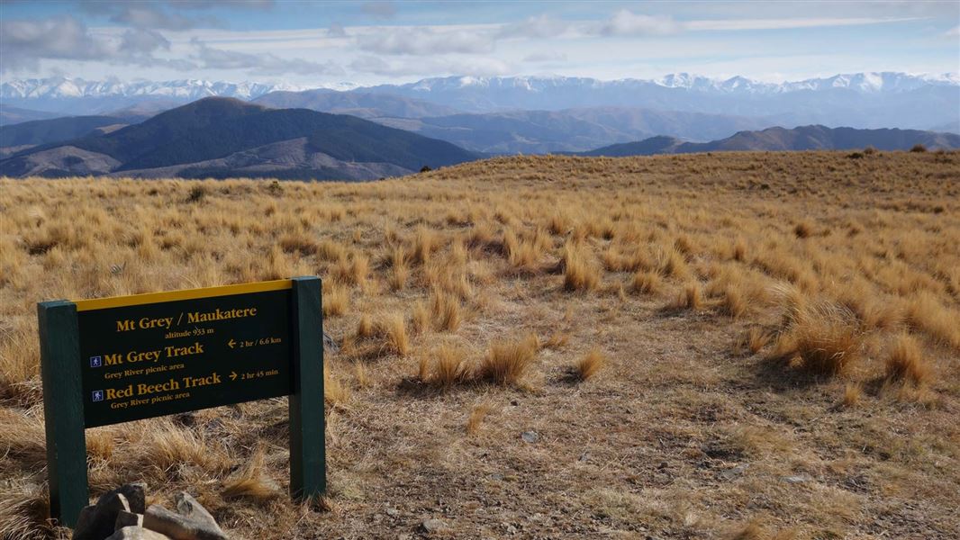 Mt Grey Track