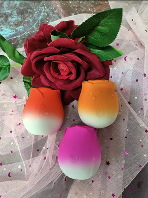 Novelty Recipe- Starter Pack - DR