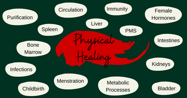 physical healing properties of bloodstone