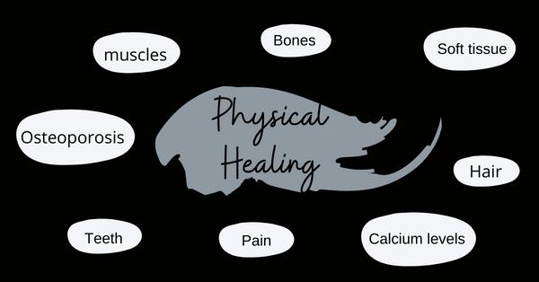 Howlite physical healing properties