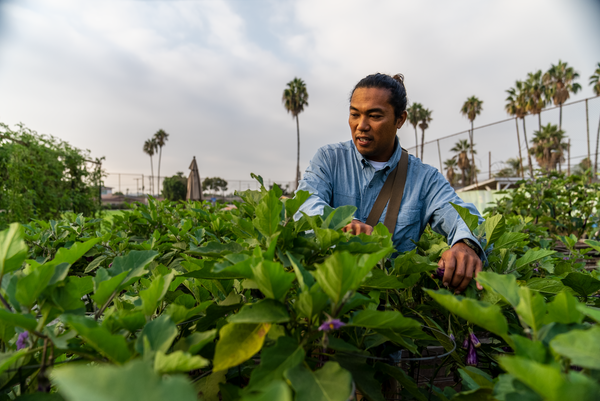 Alma Backyard Farm's Richard Garcia tends to his crops.