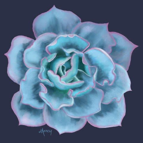 Turquoise Succulent