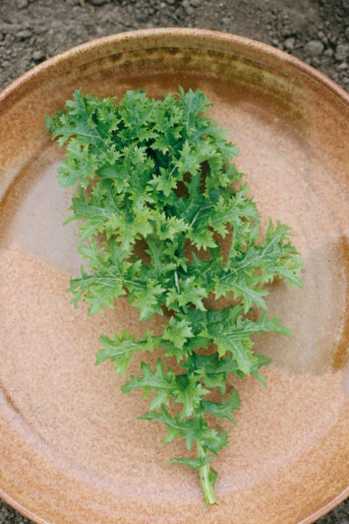 Claire Henry feasting platter. Hand thrown in Glasgow in rust tone glaze.