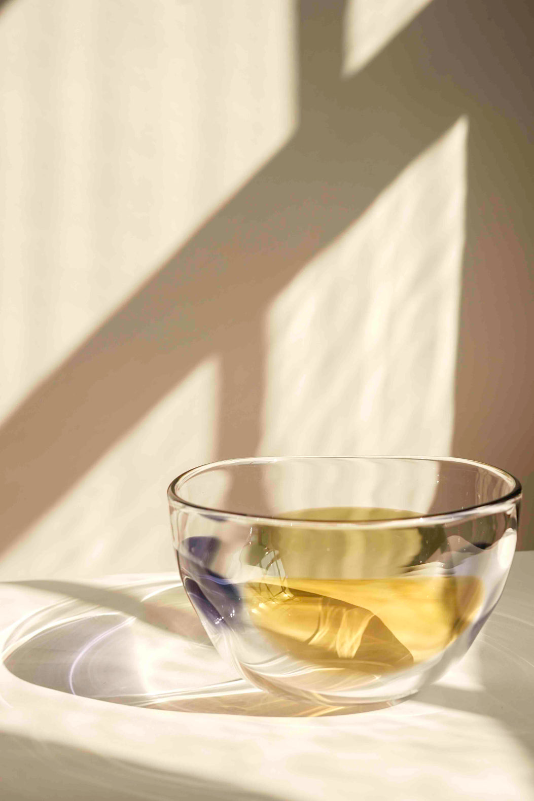 The violet, lichen and amber petal bowl is handblown by Lindean Mill. The amber petal faces the camera in this shot, and sunlight dances through the glass surface and on the wall behind, casting shadows of the window panes.