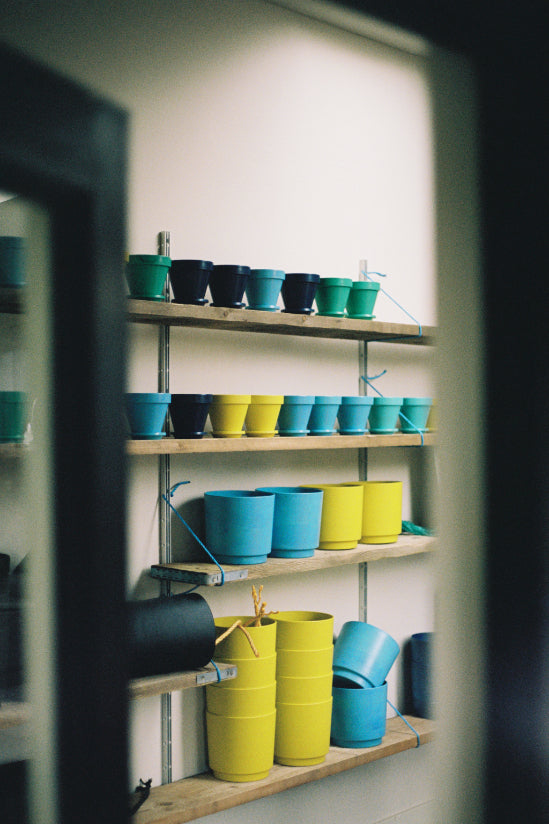 A peak through the door at Boath House for the Bard Scotland retail residency. Shelves filled with Ocean Plastic pots ocean waste plastic plant pots.