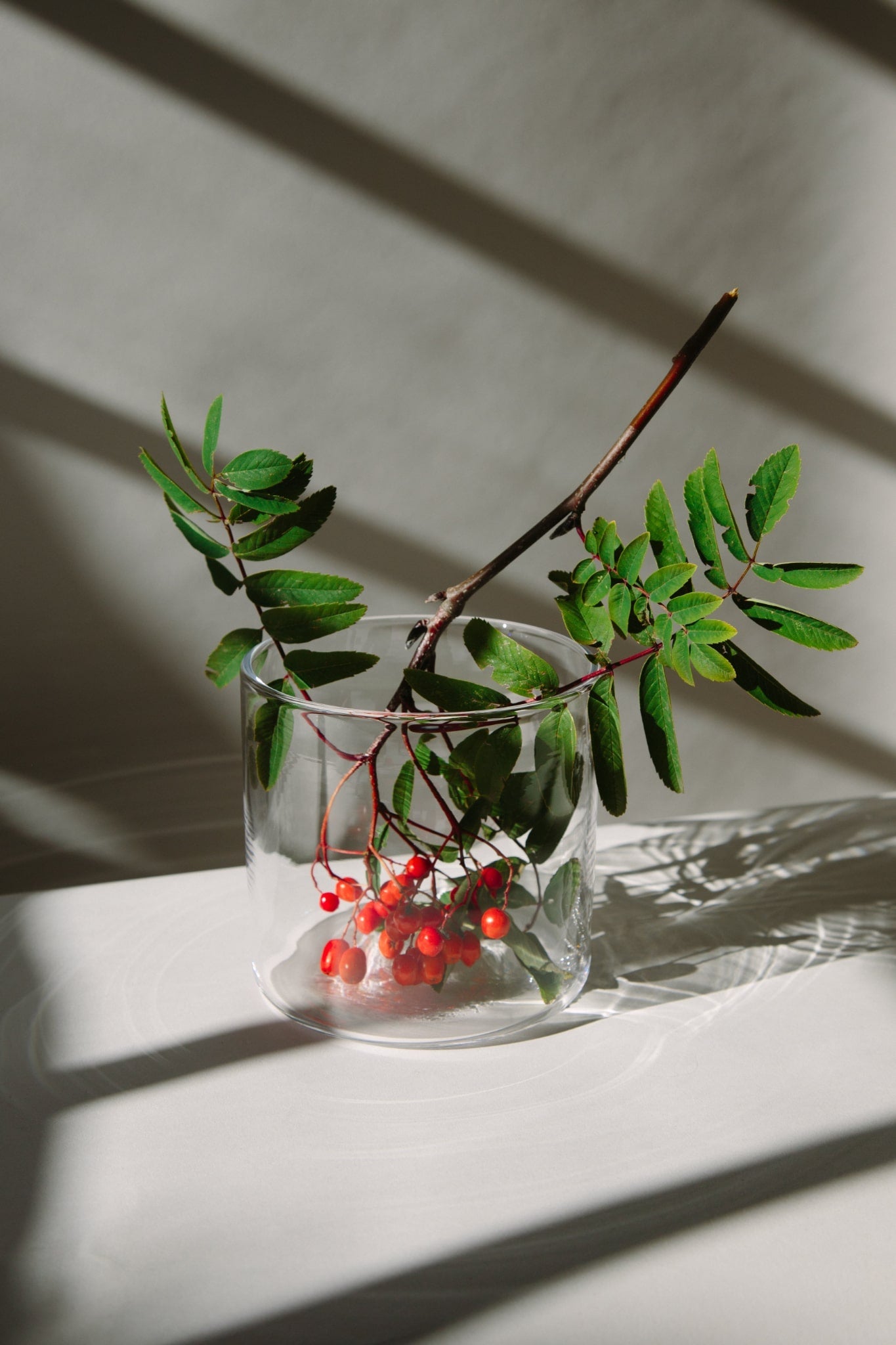 Cylindrical clear glass vase filled with a branch of scottish red berries and green leaves.