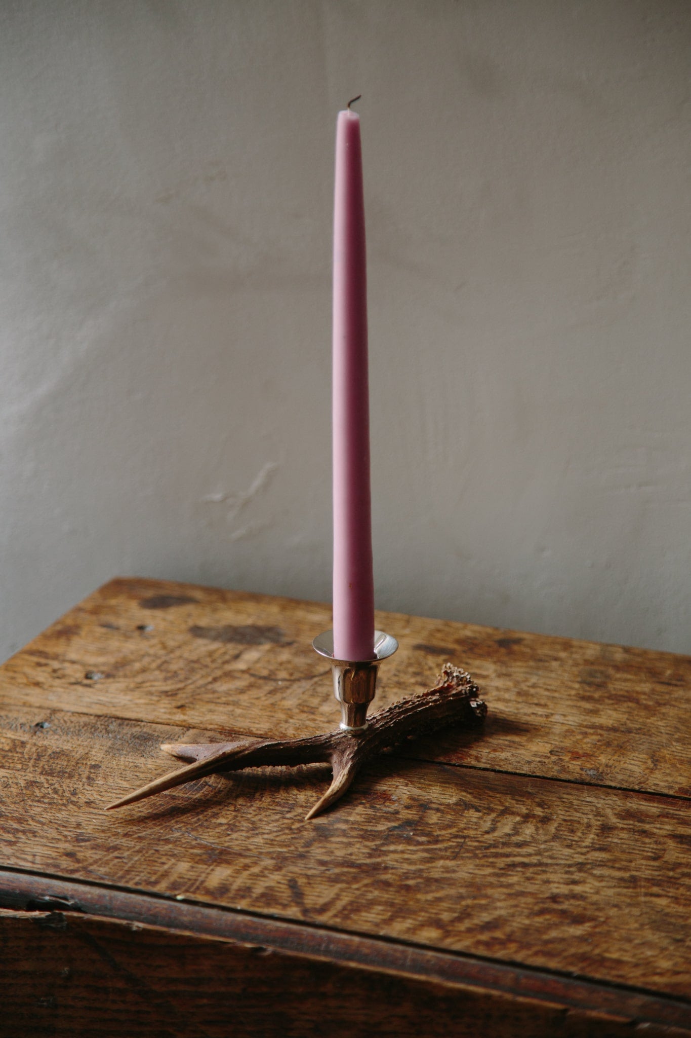 A singular candlestick holder made from a roe deer antler. Styled with a lilac pink candle which has recently been blown out.