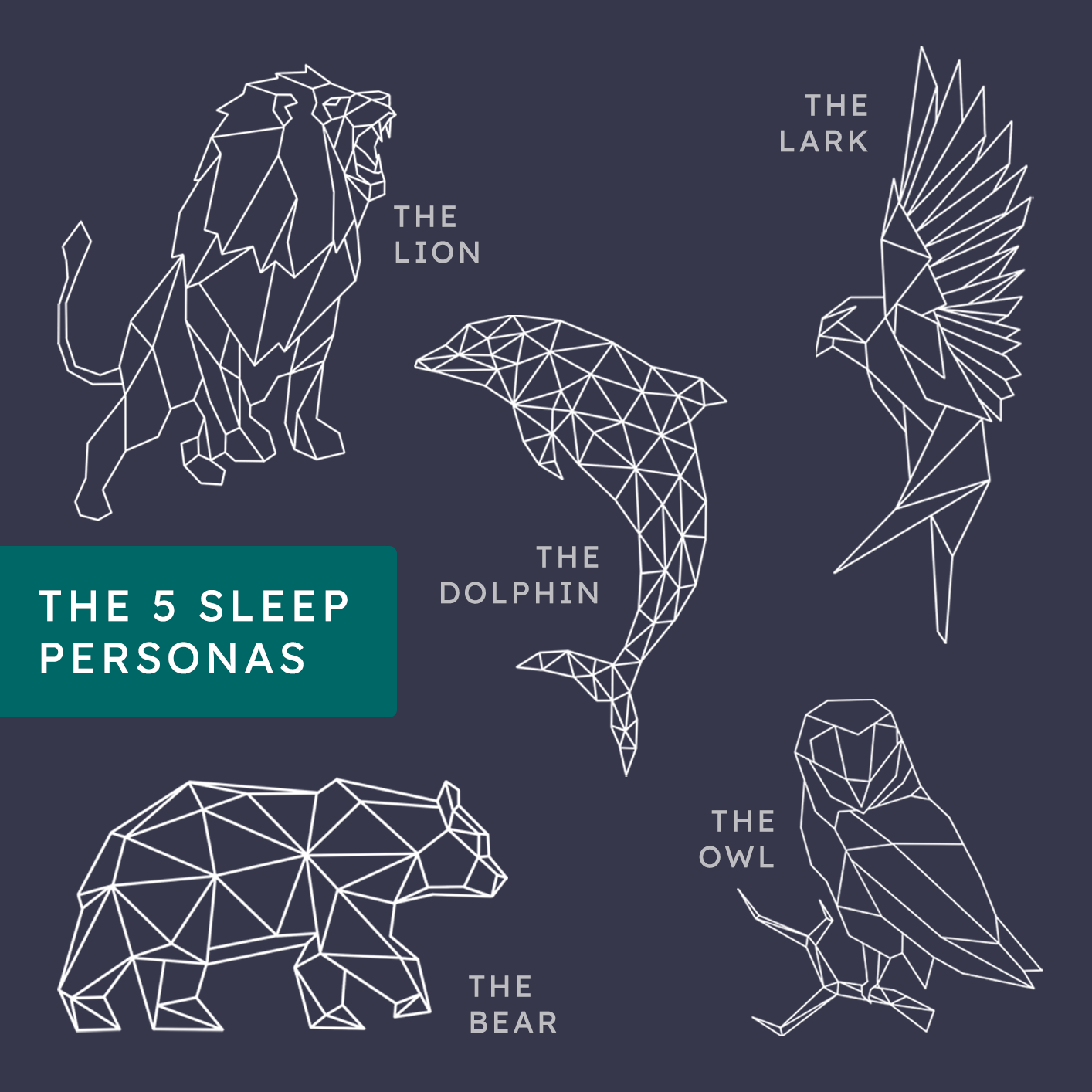 Your Sleep Personas