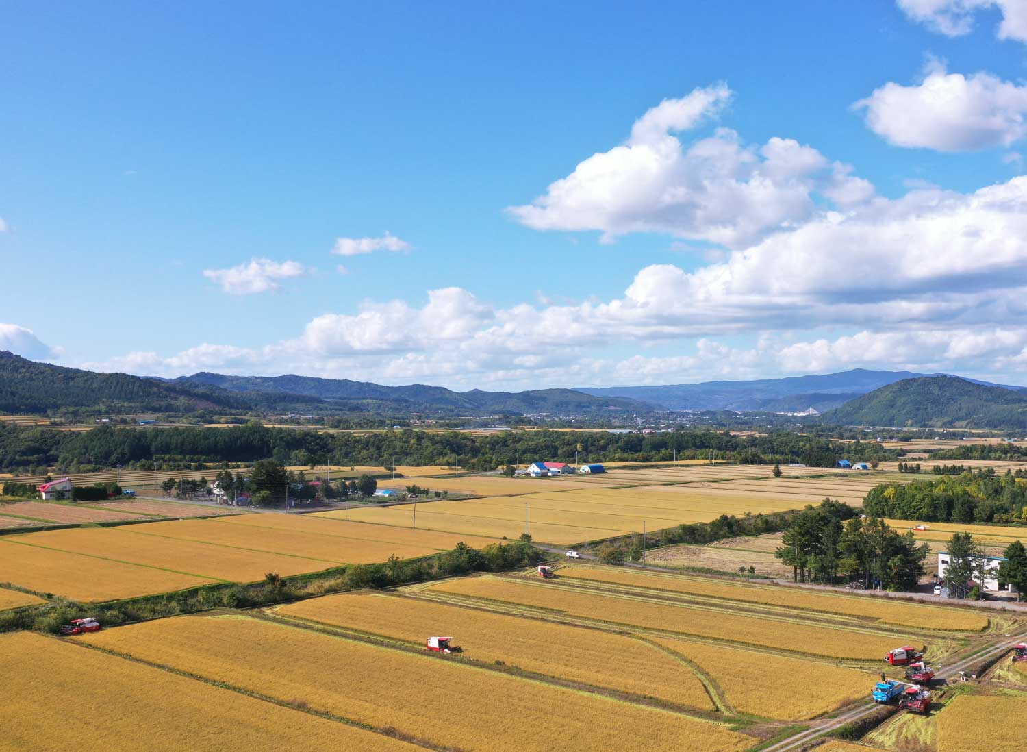 新米 ゆめぴりか 北海道 上川 空知産 令和4年産 白米 5kg / 10kg – 丸吉 茅野商店オンラインショップ