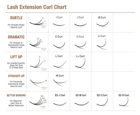 lash curl chart