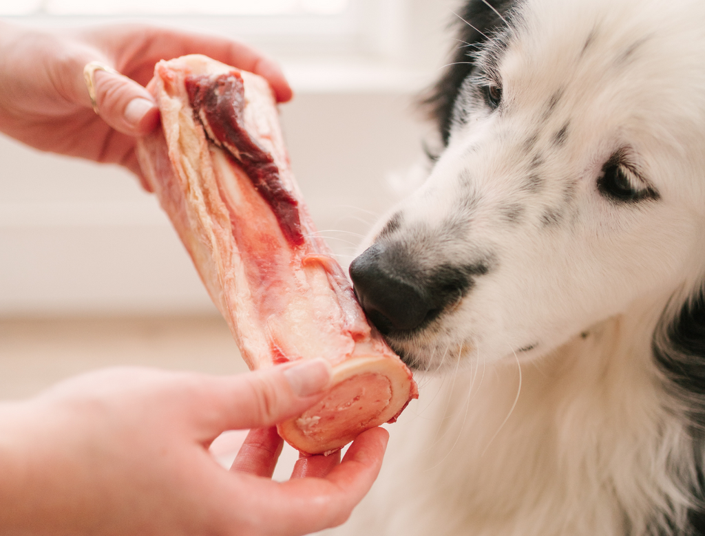 are raw bones good for dogs