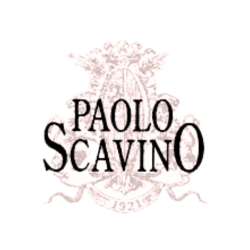 2019 Paolo Scavino Bricco Ambrogio 750ml