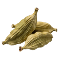 cardamom